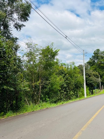 Chácara em Sapiranga com 3 hectares 