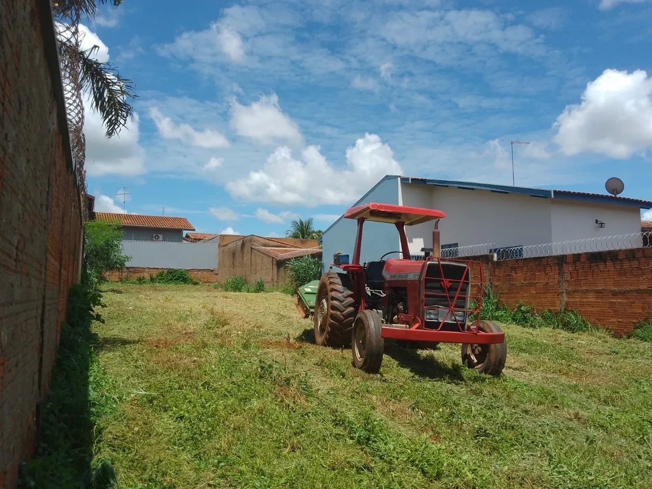 foto - Barretos - Nogueira