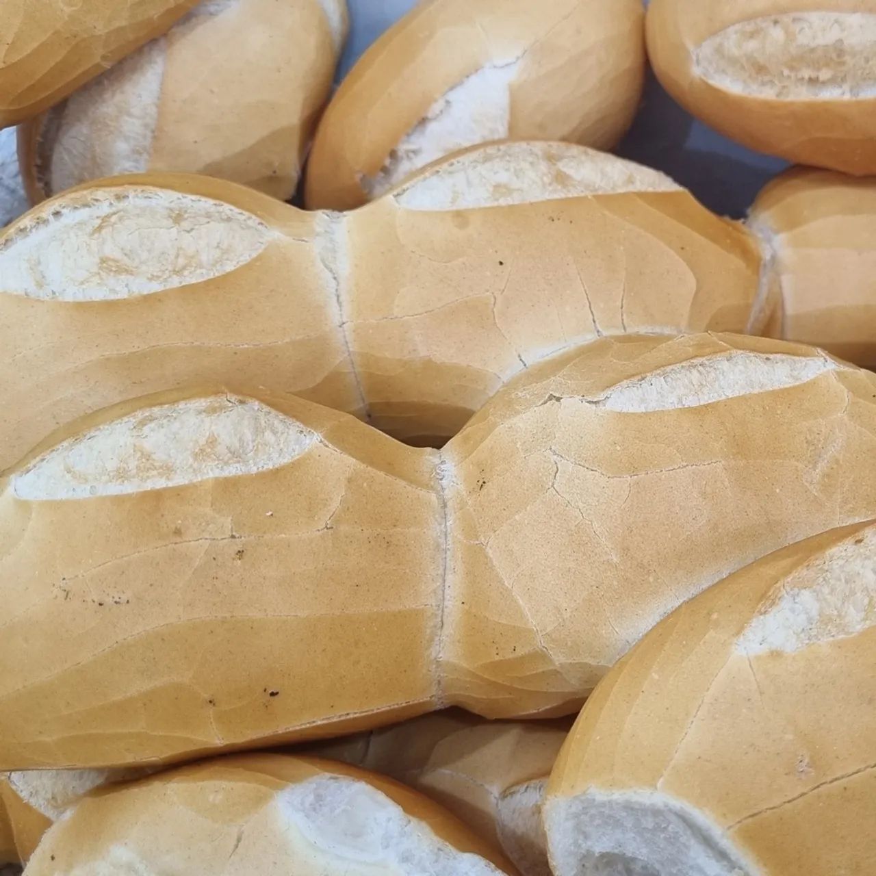Padaria Completa