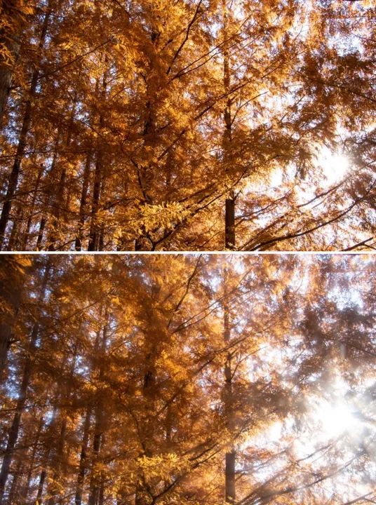 Filtro - Vivitar - 49mm - Halo Spot - Foto 3