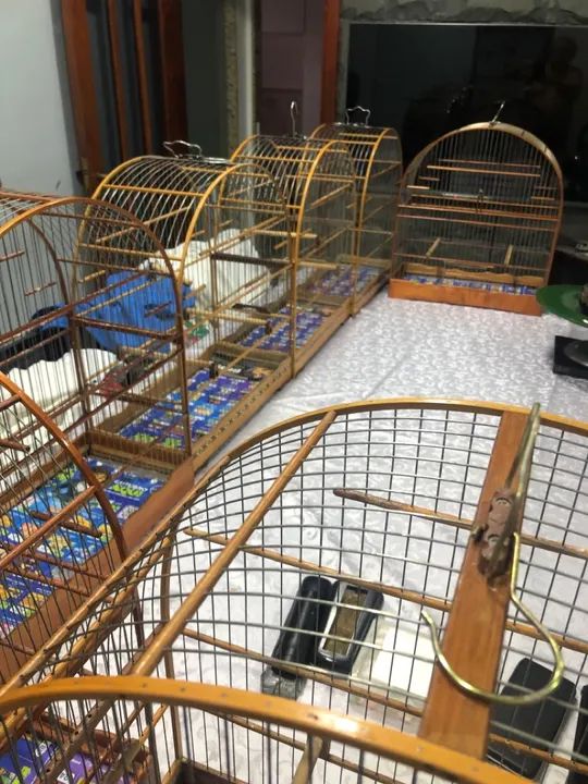 Gaiolas de madeira número 05 e 06 - Foto 3