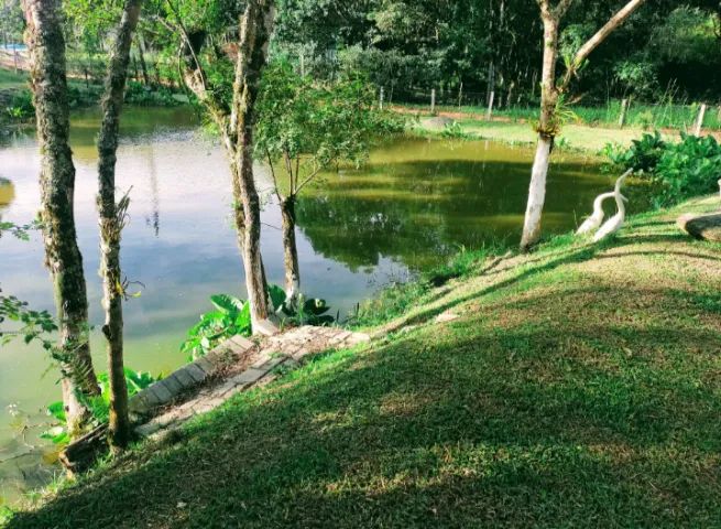 foto - Mandirituba - Areia Branca dos Assis