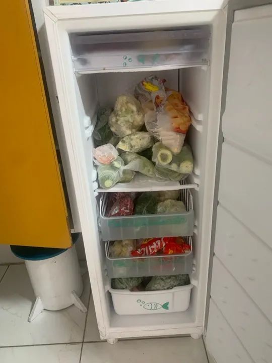 FreezerVertical Consul - Eficiente e Econômico - Foto 6