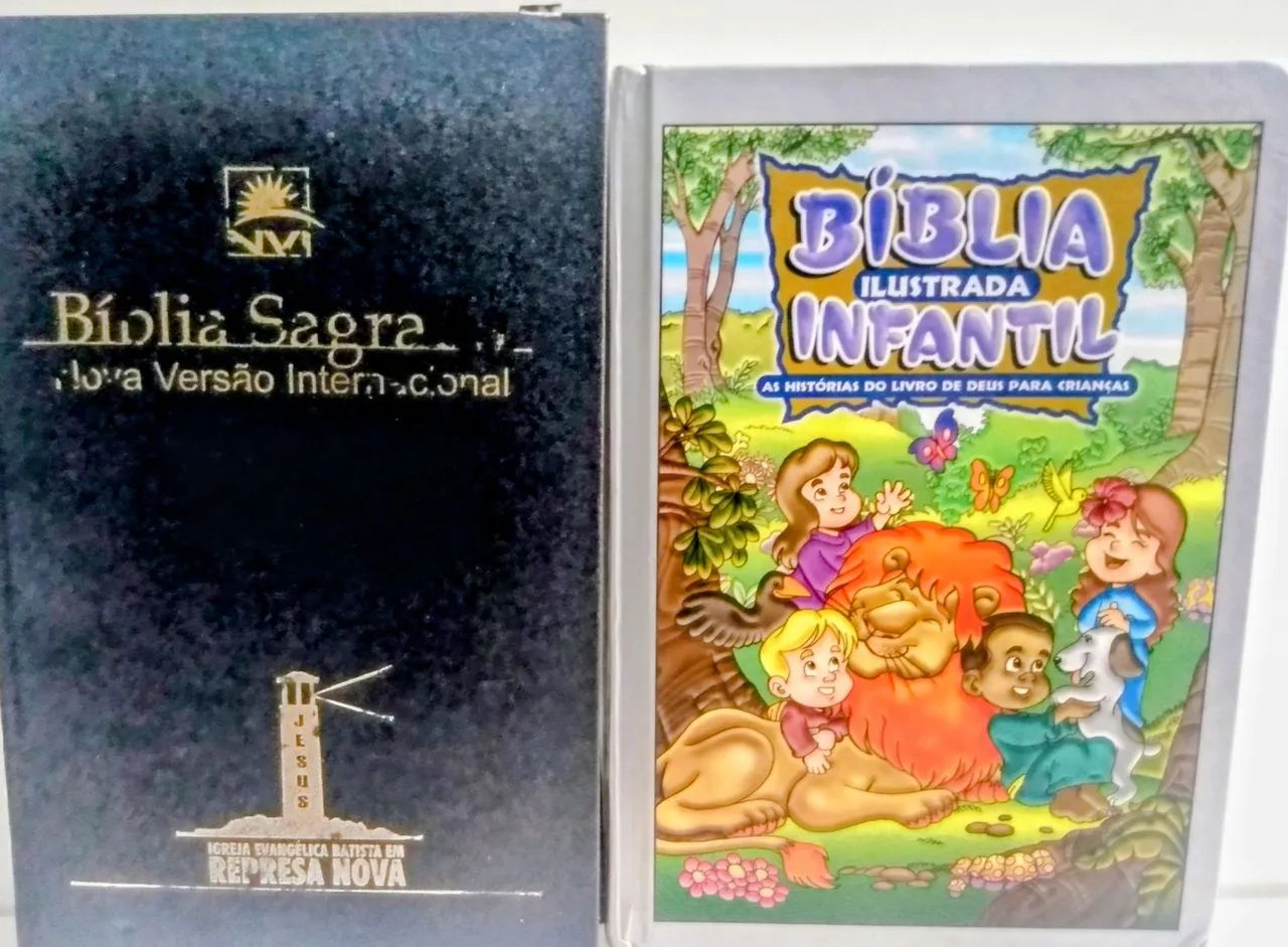 Livros - Bíblia Sagrada NVI Igreja evangélica Batista - Bíblia Ilustrada Infantil 