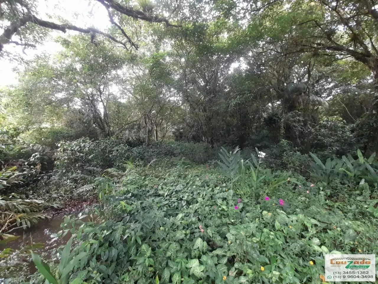 Terreno para Venda no bairro Guarau Garça Vermelha em Peruíbe/SP - Foto 5
