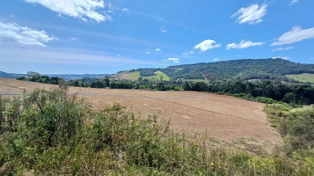 Imóvel para venda tem 110000 metros quadrados em Barro Preto - Alfredo Wagner - SC - Foto 5