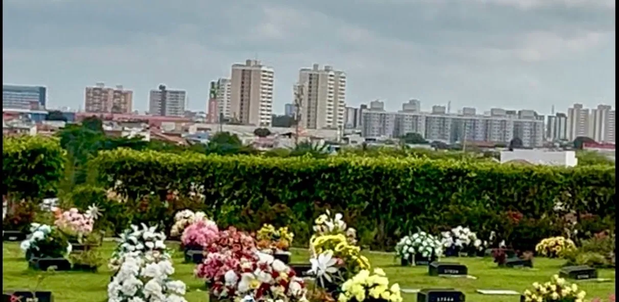 Jazigo NUNCA UTILIZADO nível estrela nunca - Colina da Saudade