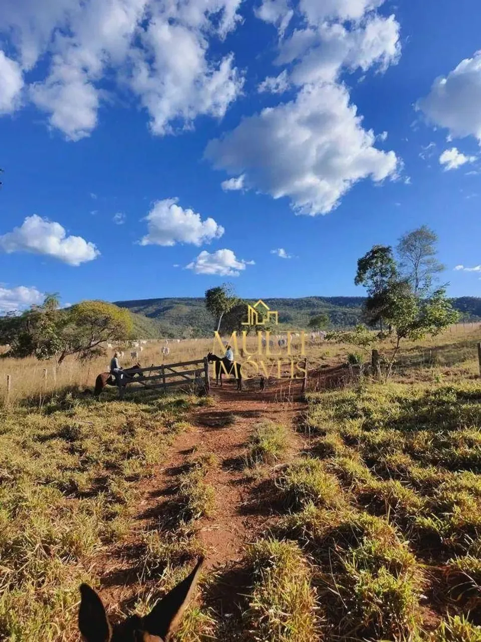 Fazenda à venda, 1.200 alqueires; por R$ 23.958.000 - Zona Rural - Porto Nacional/TO