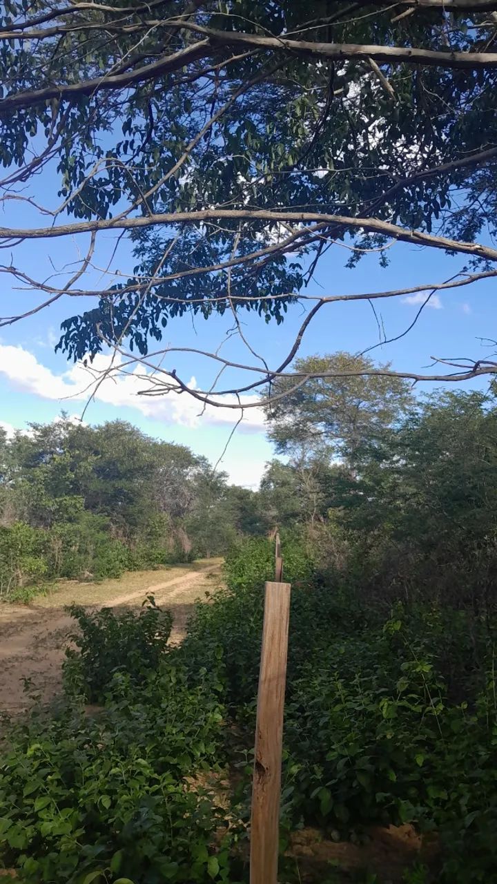 Fazenda a venda! - Foto 4