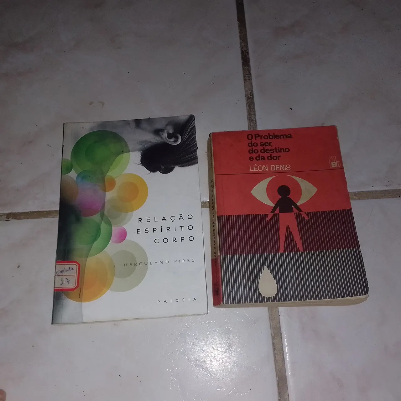 Livros Relacionados à Espiritualidade - Herculano Pires e Léon Denis