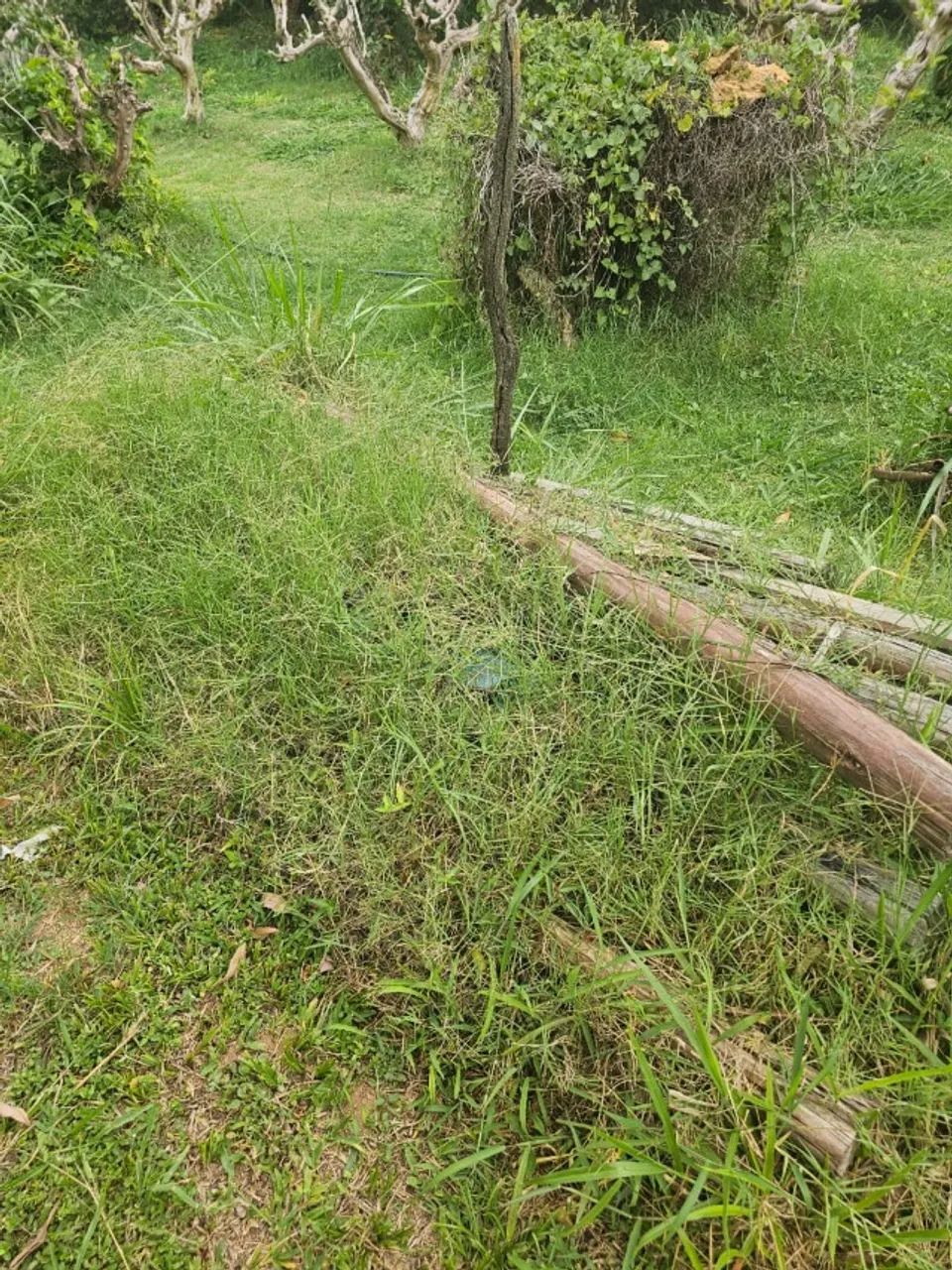 Folhas de Zinco Para Tapume - Foto 2