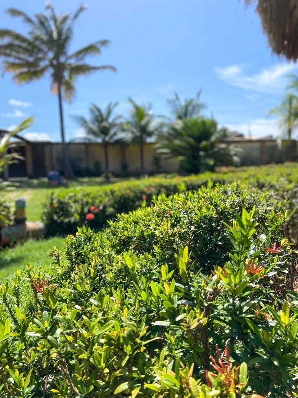 CASA POR TEMPORADA. - Foto 8