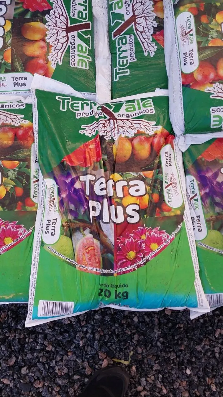 Terra substrato