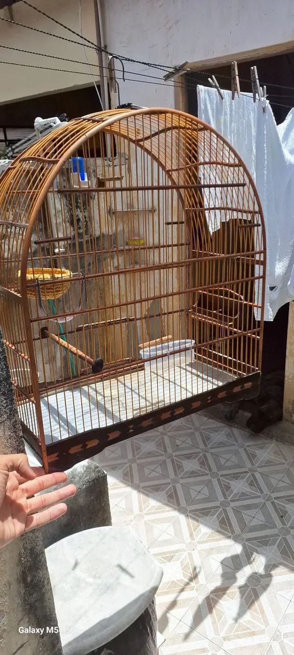 Gaiola 64673065584643121