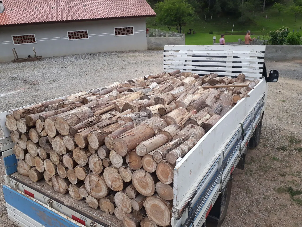 Lenha para pizzaria