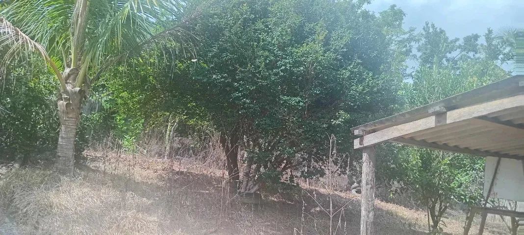 Chácara a venda na Curitiba ( Distrito de Cambuci-RJ ) - Foto 5
