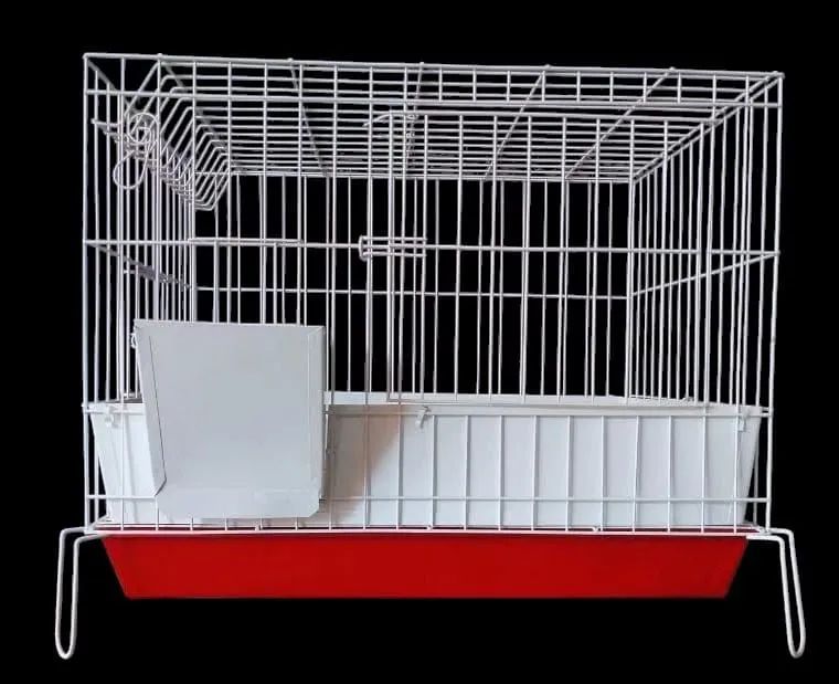 Gaiola profissional pra coelho ou porquinho da índia  - Foto 2