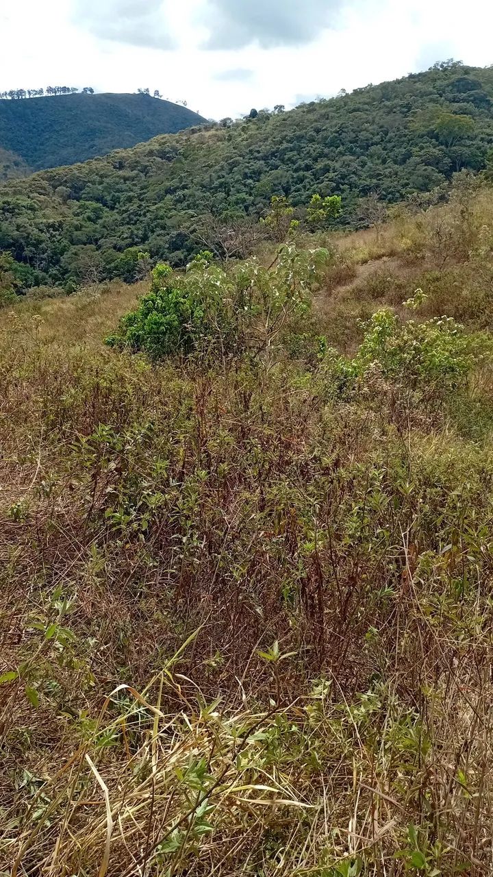 Rocadeira 