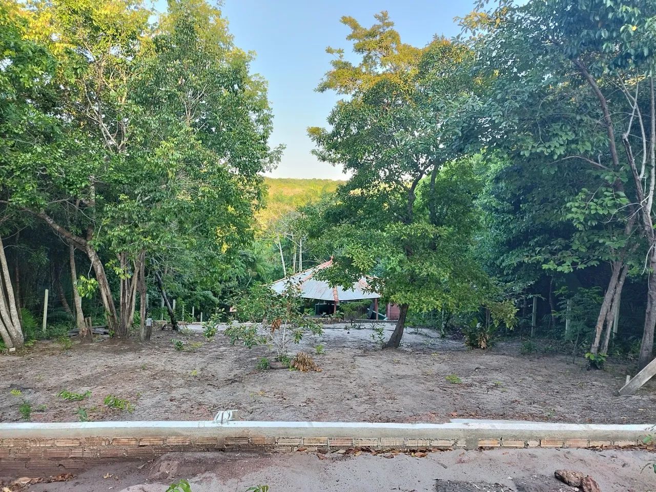Vende se chácara  - Foto 4