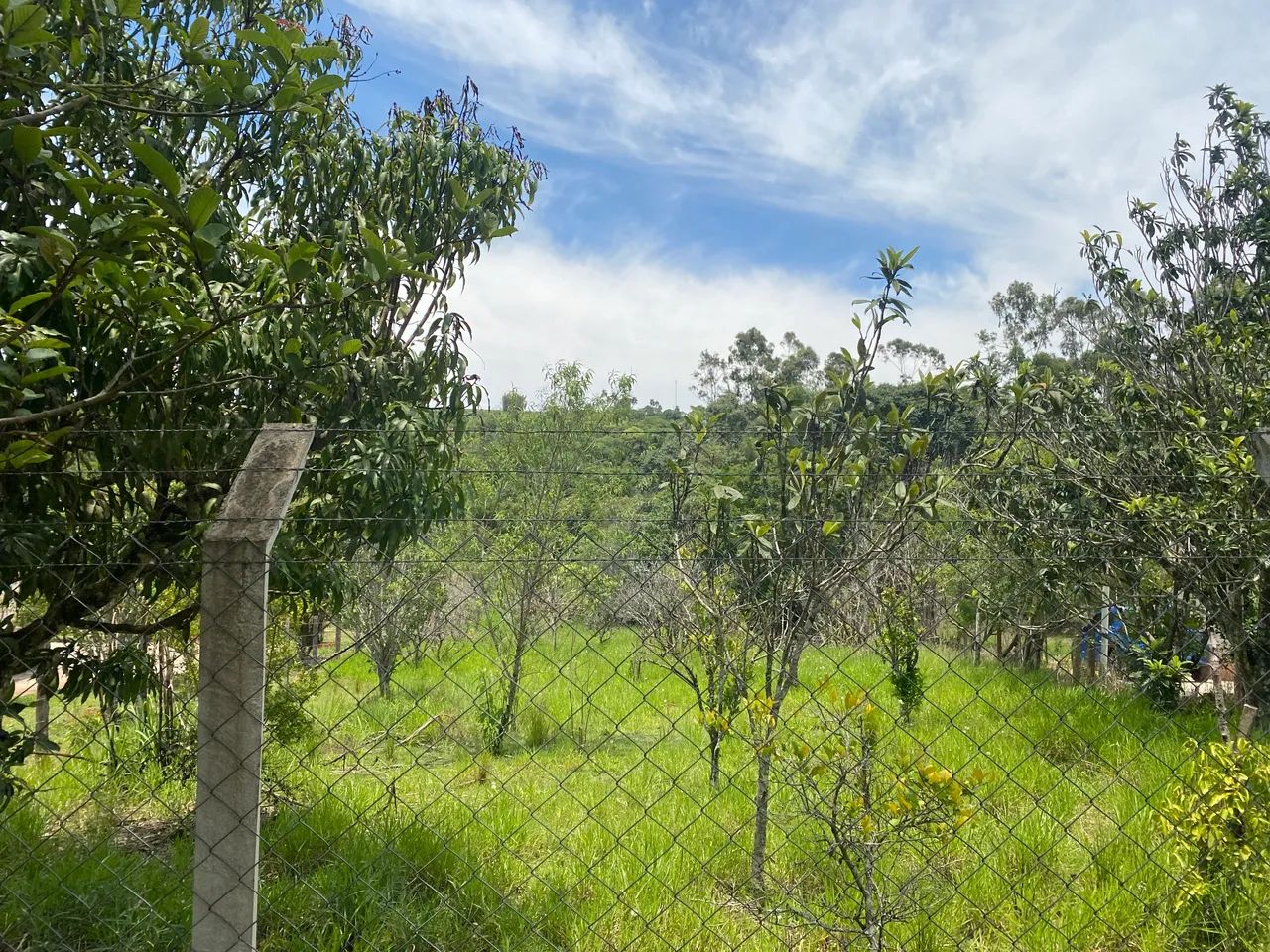 Terreno de chácara direto com dono  - Foto 3