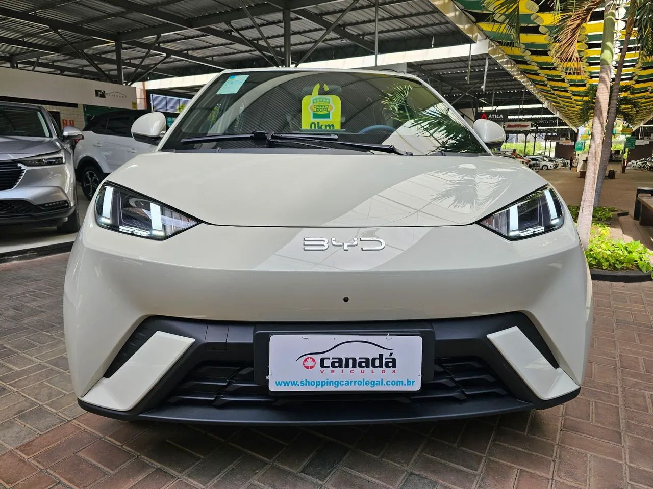BYD Dolphin GS (Elétrico) 2027 - Foto 2