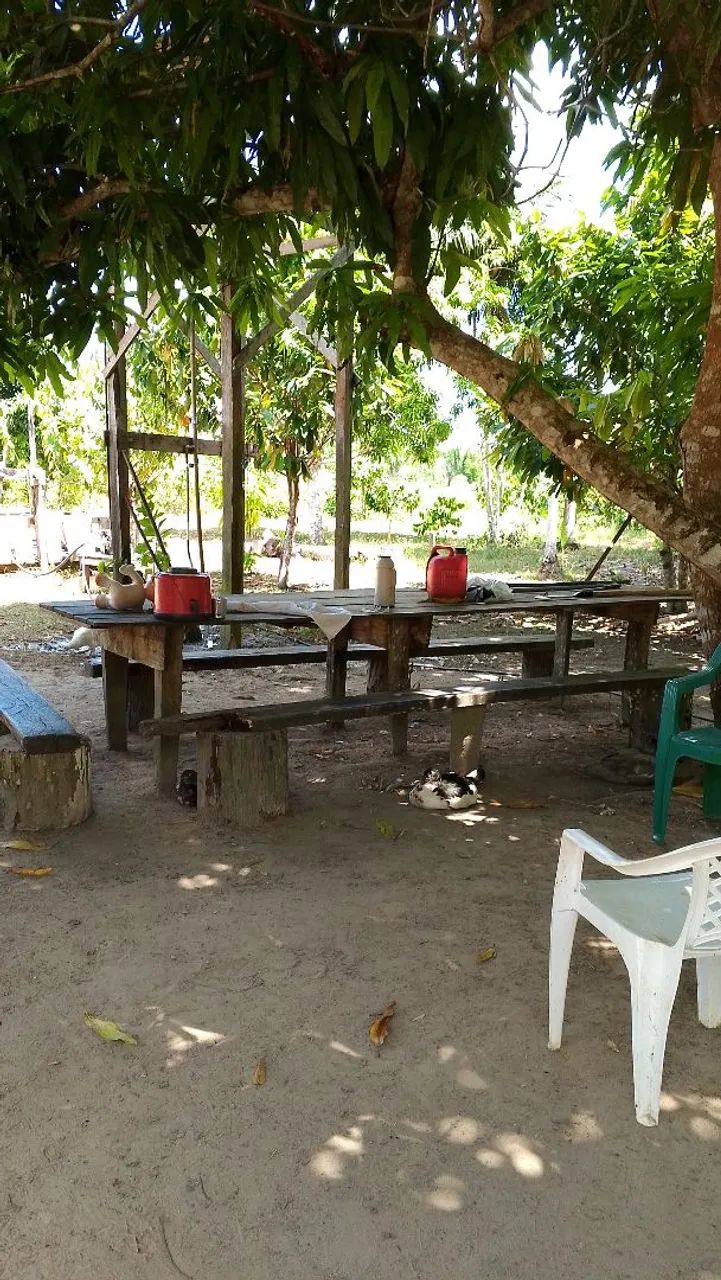 Sítio avenda no ramal Az4 cidade de Autazes  - Foto 3
