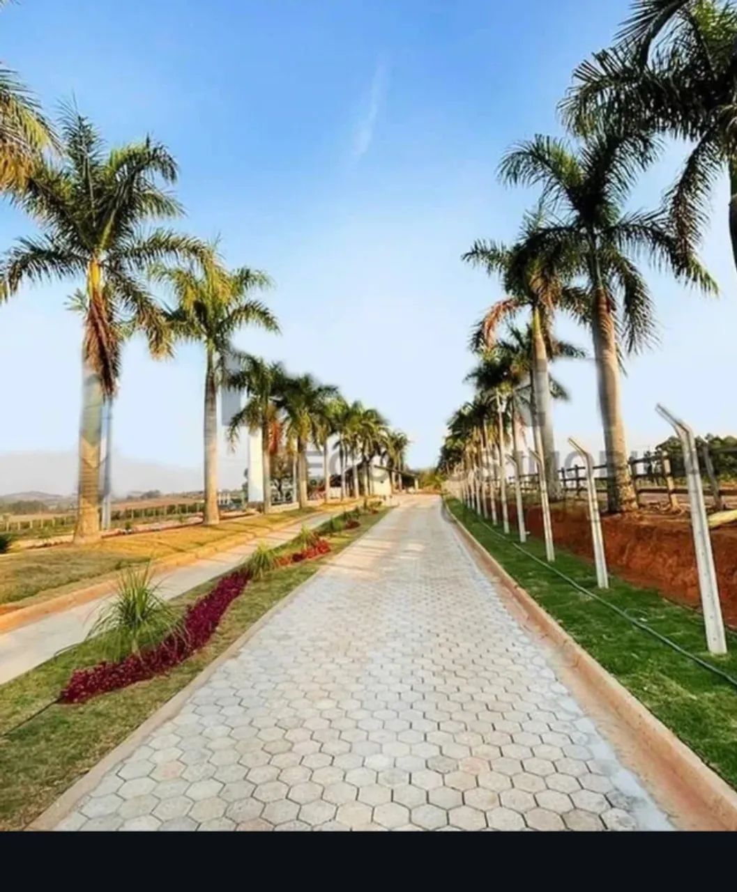 VENDE-SE TERRENO EM MINAS GERAIS  - Foto 4