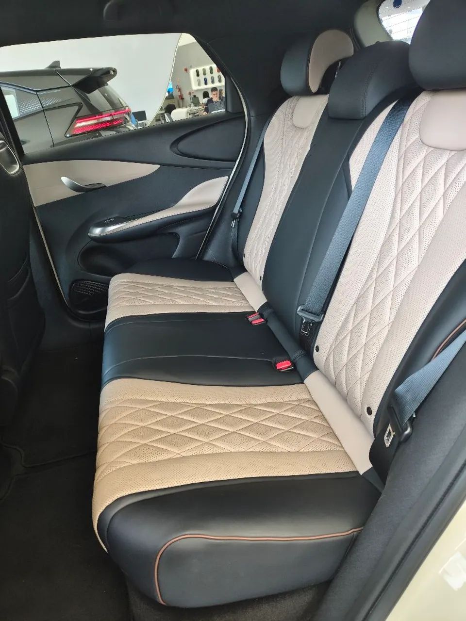 BYD Dolphin GS (Elétrico) 2027 - Foto 4