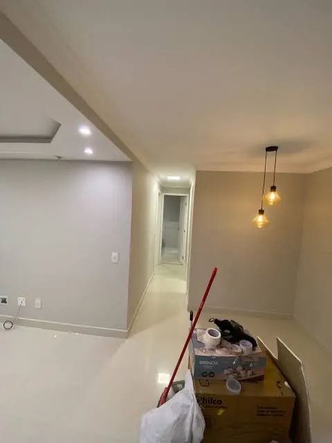 Pintor profissional