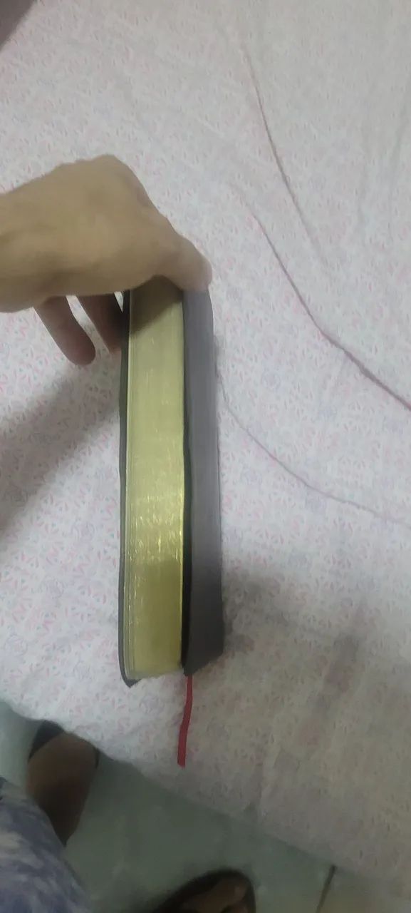 Biblia de estudos do pregador  - Foto 3