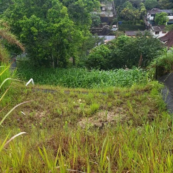 Terreno- Petrópolis, Quitandinha