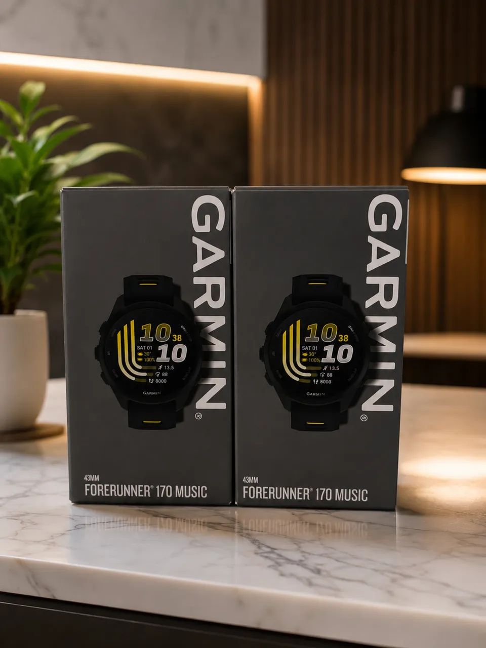 Garmin forerunner 170 music