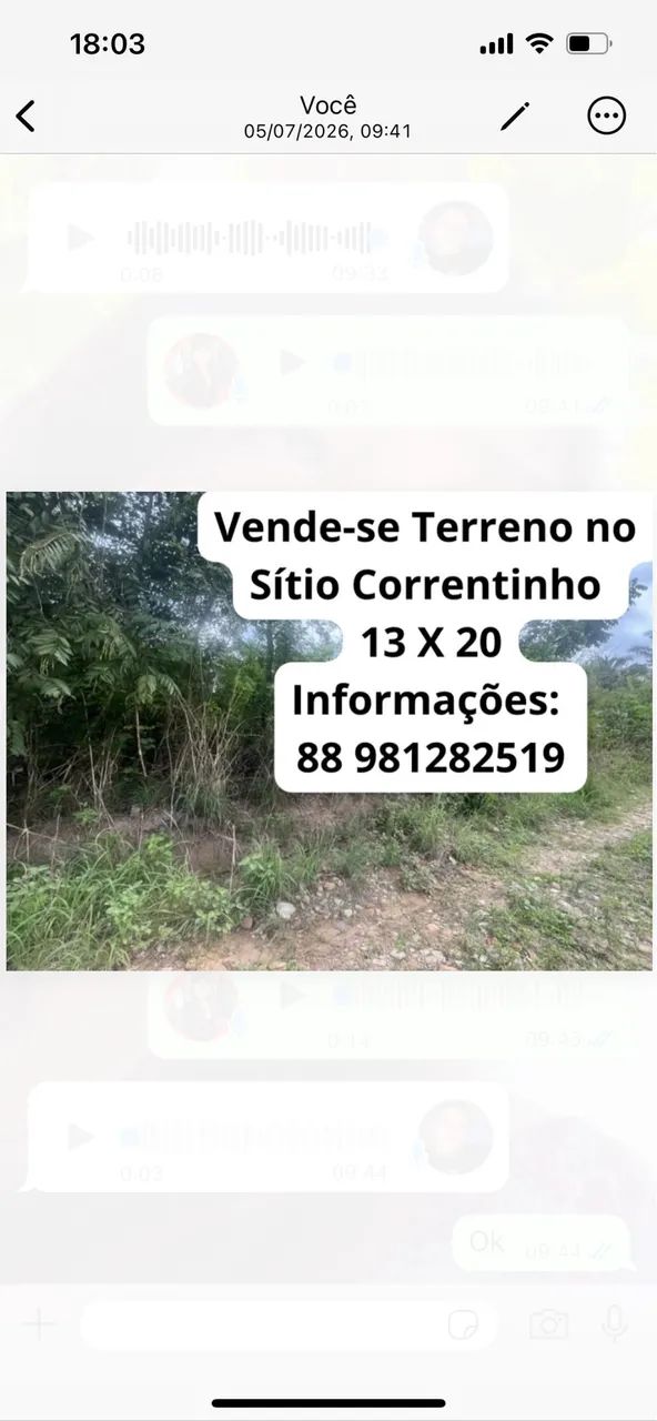 Terreno 