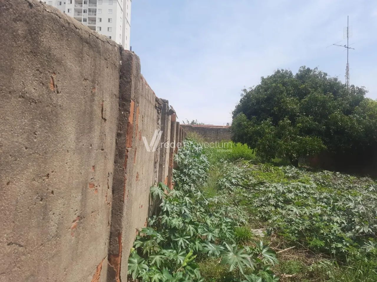 terreno - Parque Industrial - Campinas - Foto 4