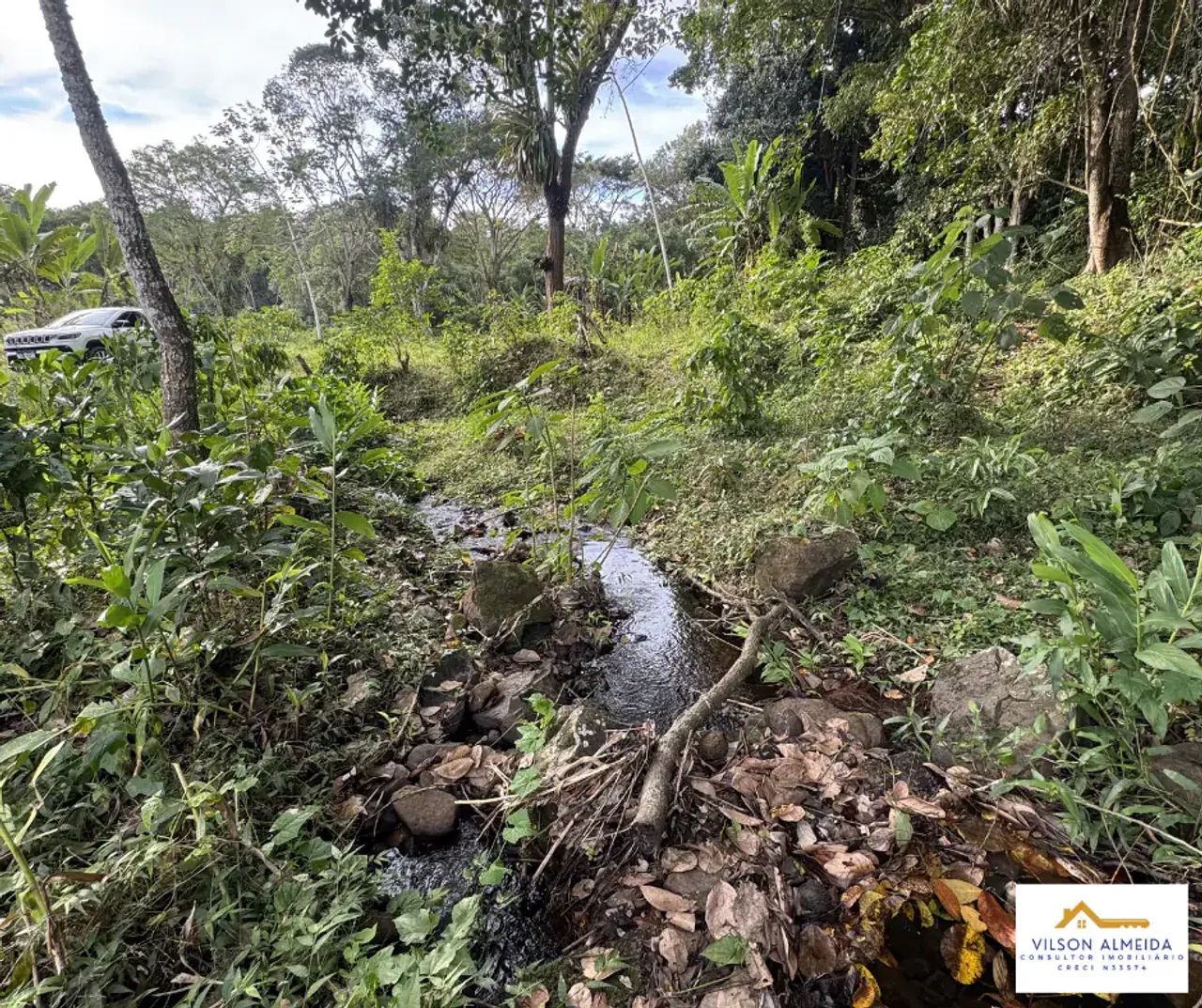 Áreas à venda, SERRA GRANDE, Uruçuca, BA - Foto 4