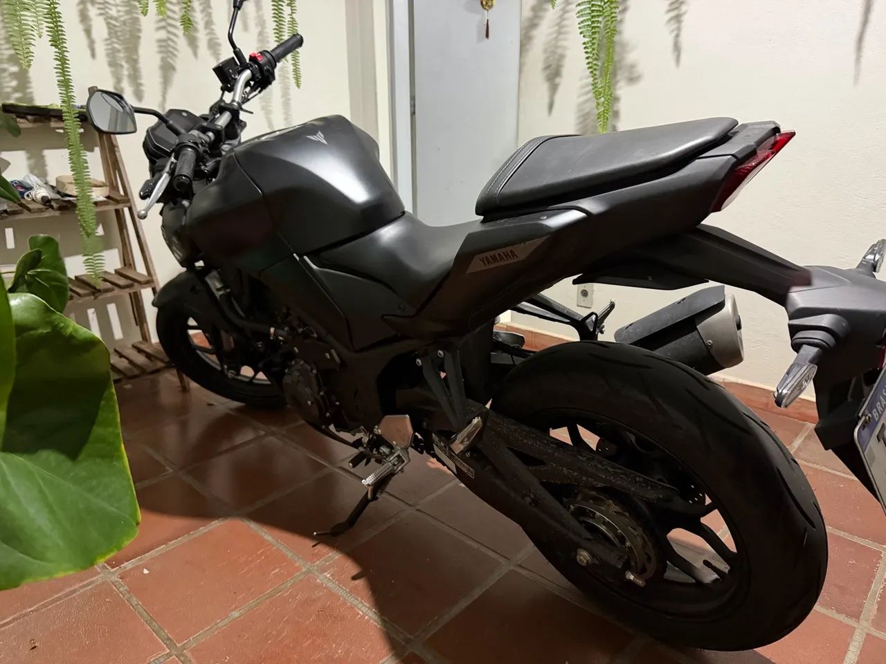 Mt 03 2026  - Foto 2