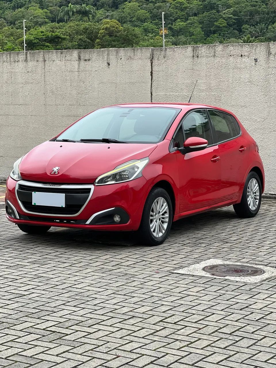 Peugeot 208 208 Active Pack 1.2 Flex 12V 5p Mec. 2017