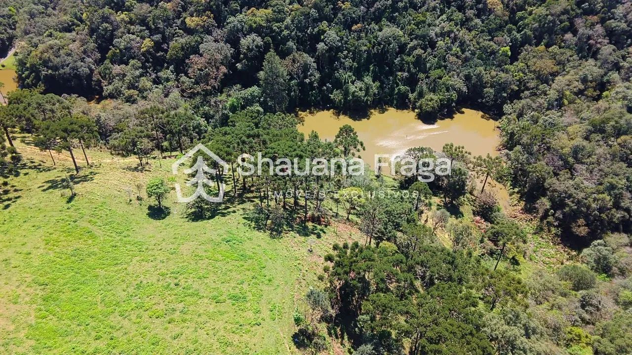 Rancho Queimado/SC - Sítio à Venda - Pinheiral - Foto 5