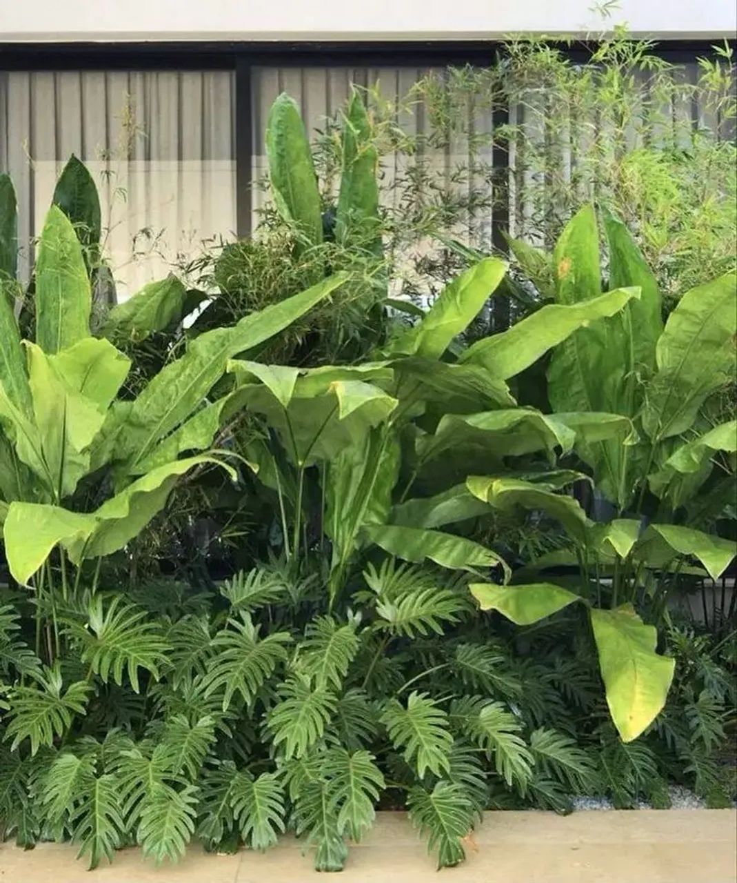 Serviço de jardinagem  - Foto 2