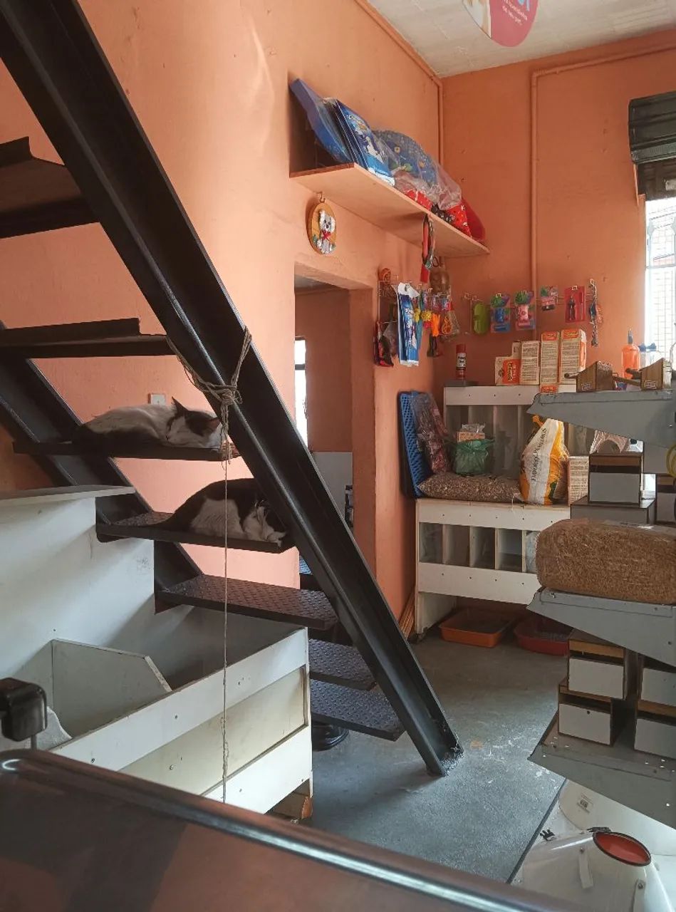 Fundo de PetShop  - Foto 2