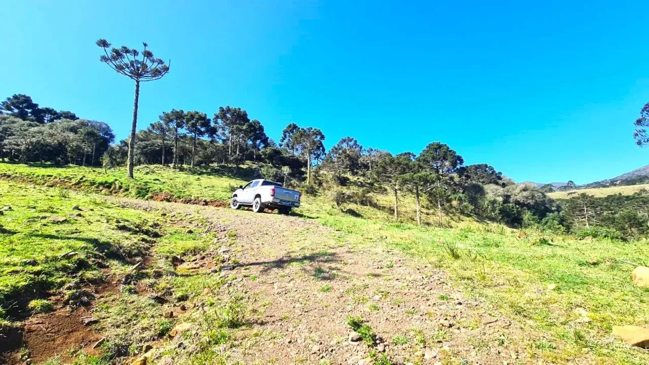 Urupema - Serra Catarinense- Empreendimento Rural - Foto 3