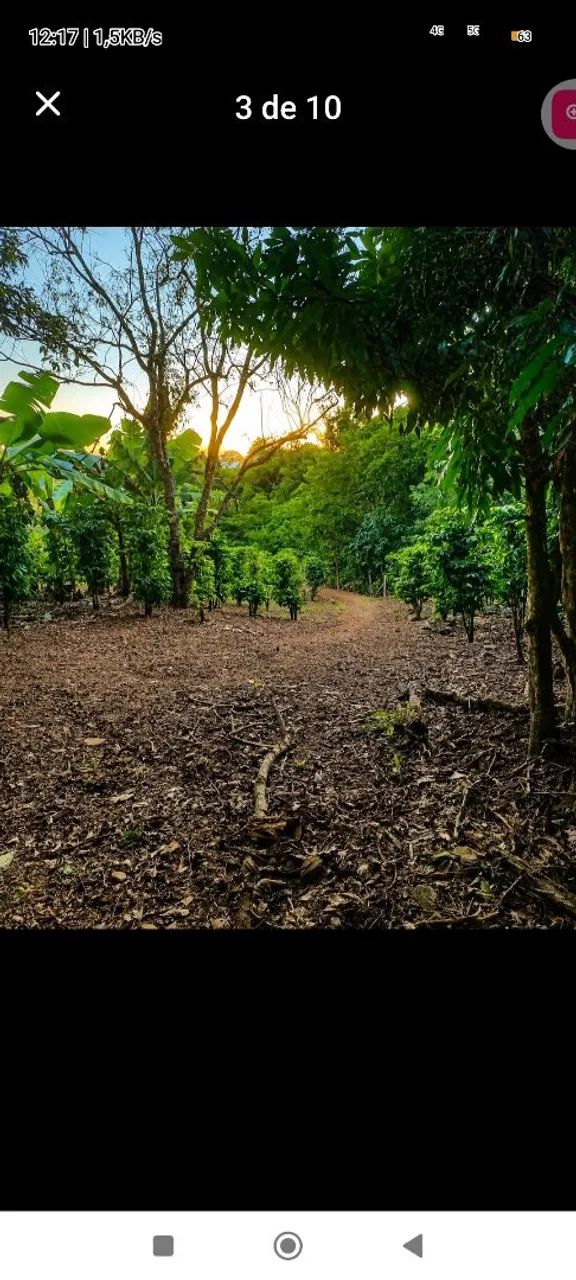 Venda de terreno.