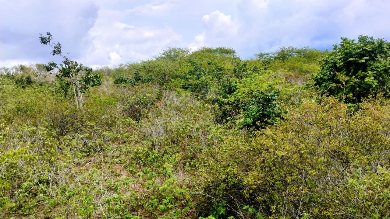 16 Tarefas de terra  - Foto 3