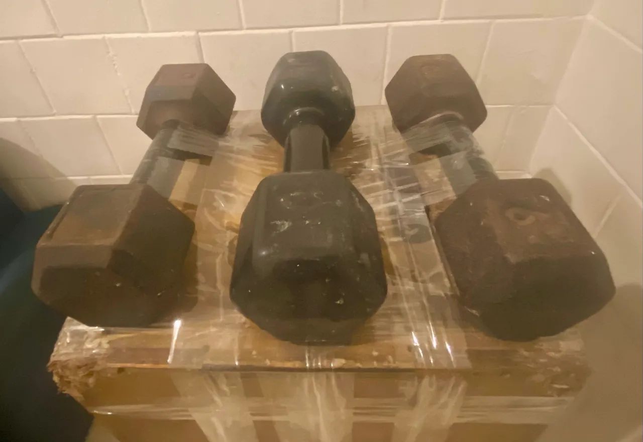 Halteres ( 9 e 10kg ) - Foto 2