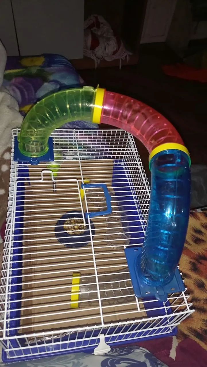 Hamster e gaiola - Foto 3