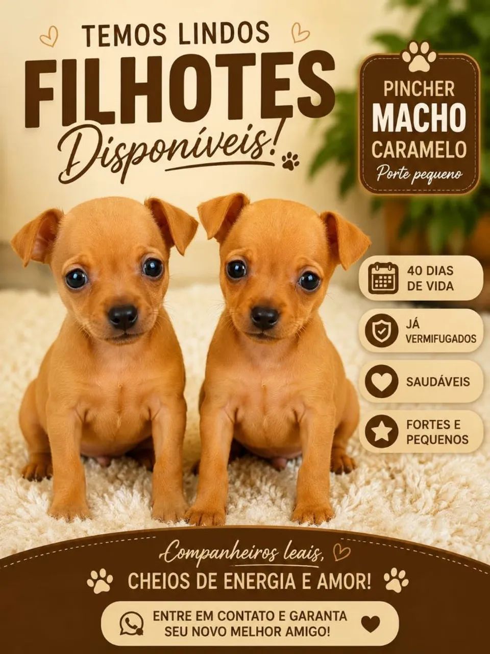 PINSCHER 