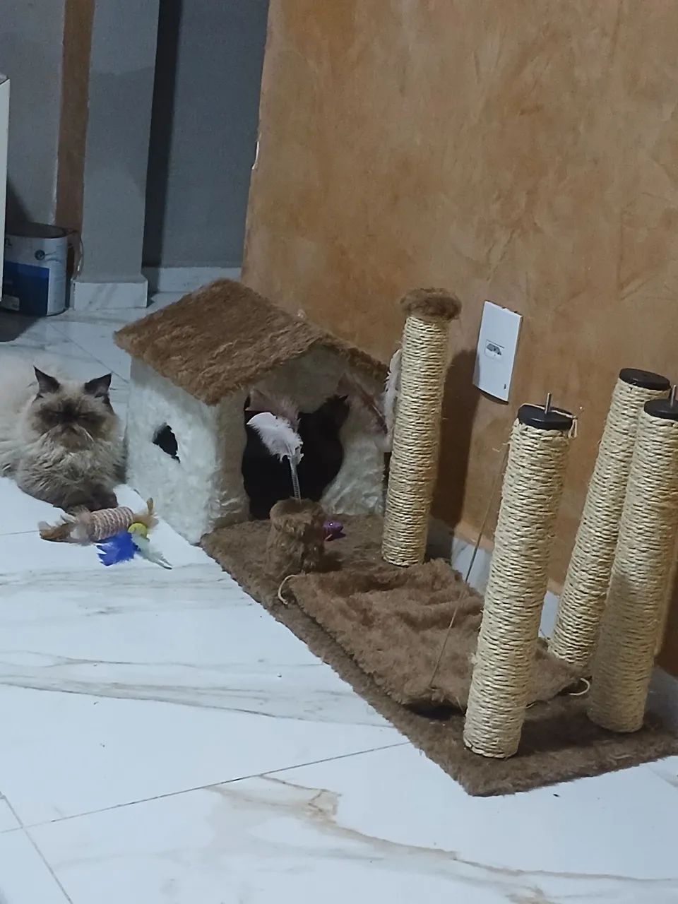 Casa de gato
