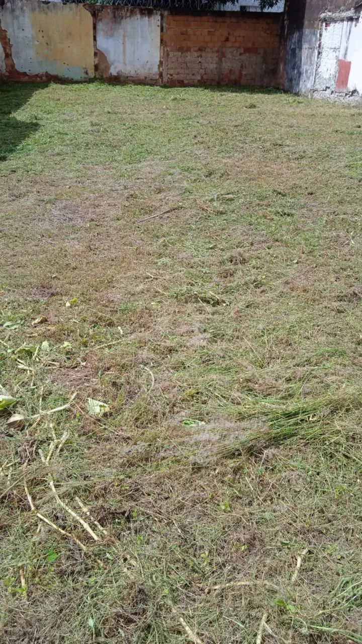Terreno para venda no Bairro Cazeca - Foto 5