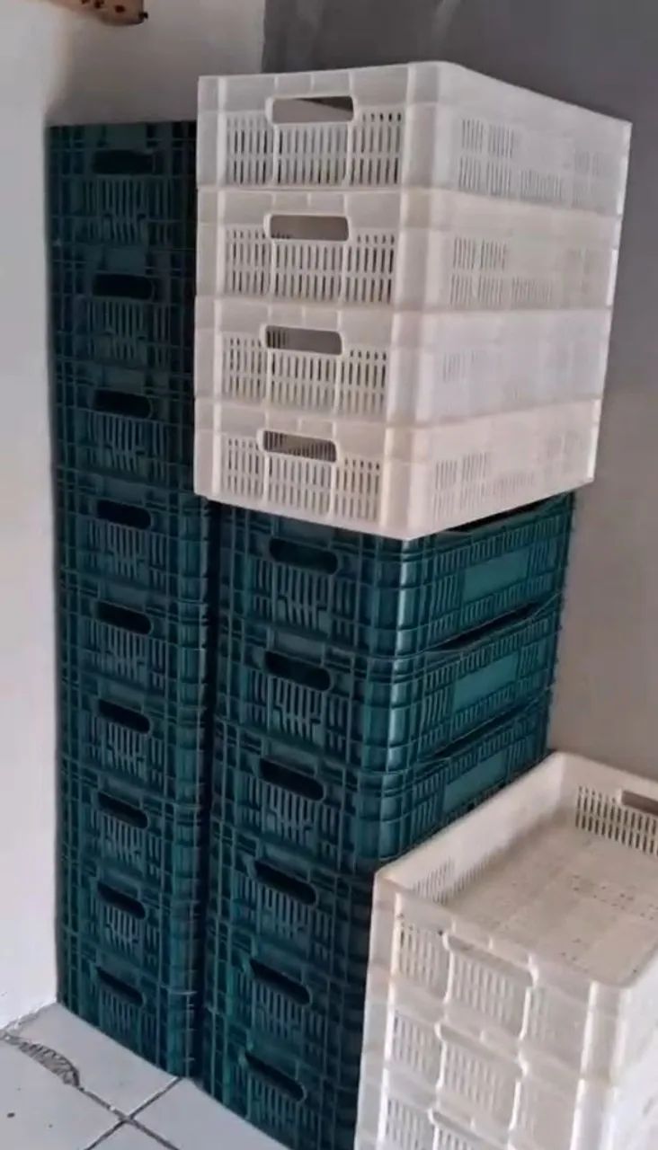 Vendo 4 verdureiros novos - Foto 6