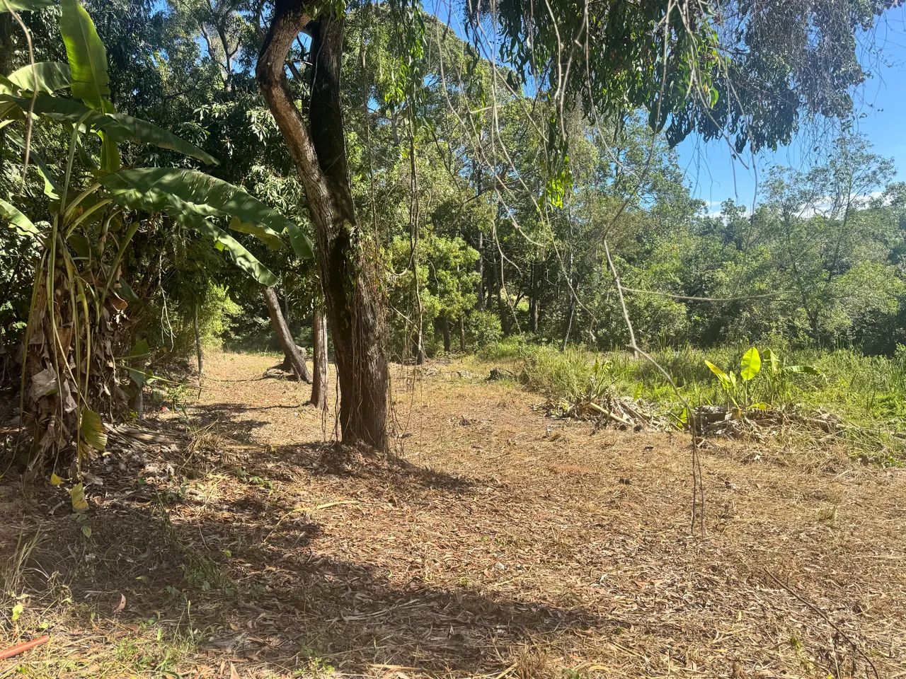 Lote de 1800 Mt em Praia de Carapebus  - Foto 5